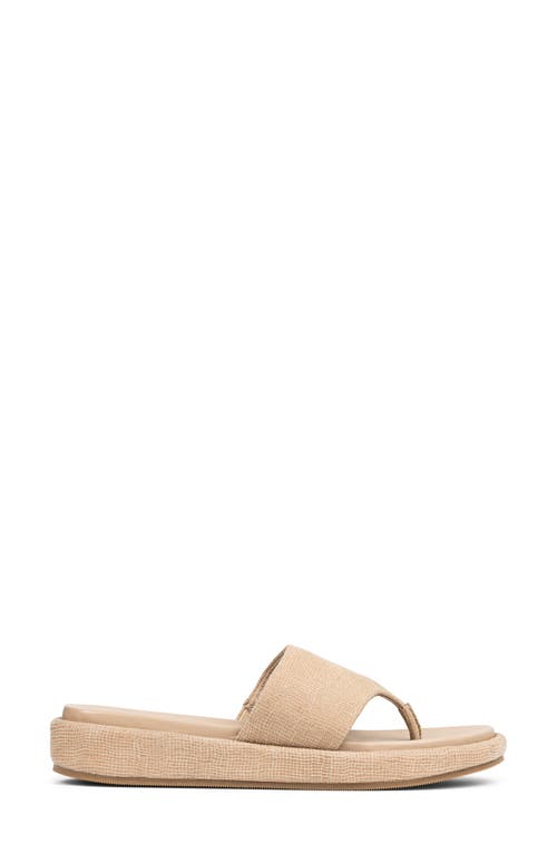 Donald Pliner Aneetas Flip Flop In Brown