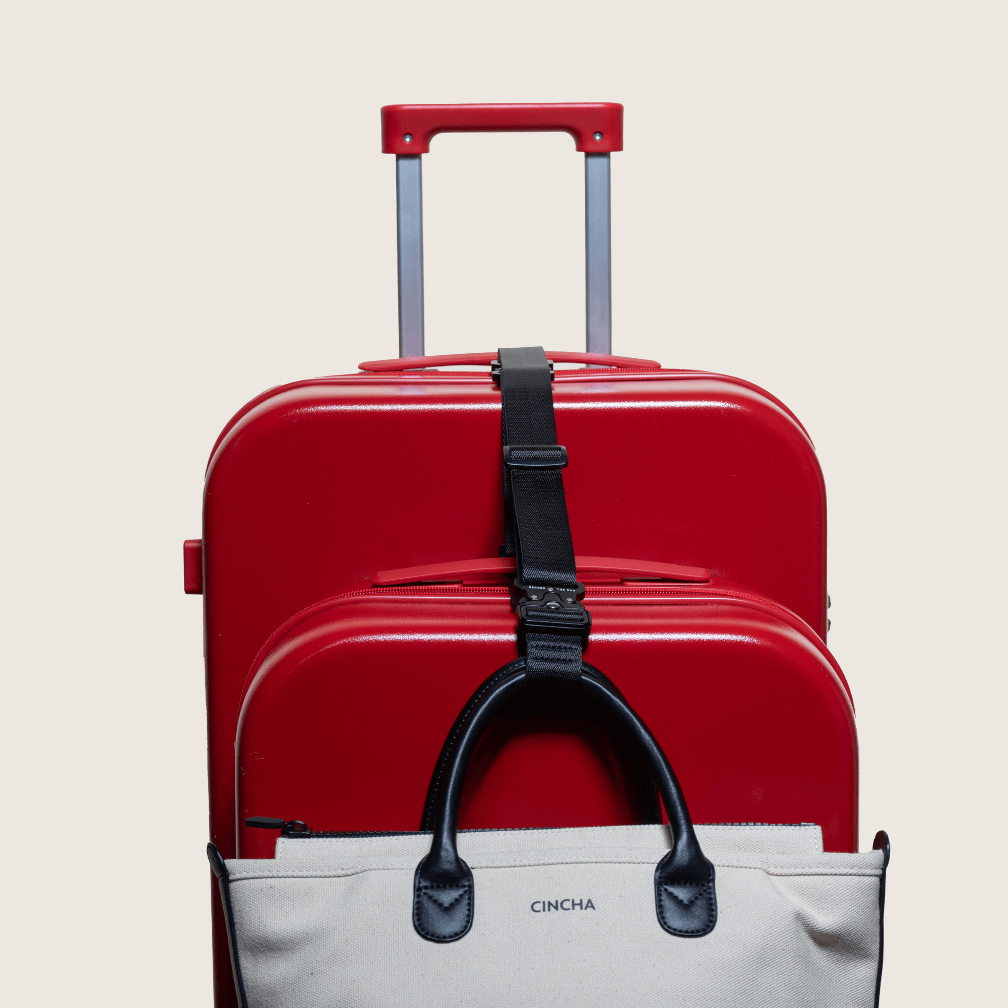Cincha Luggage Connector, Alternate, color, 