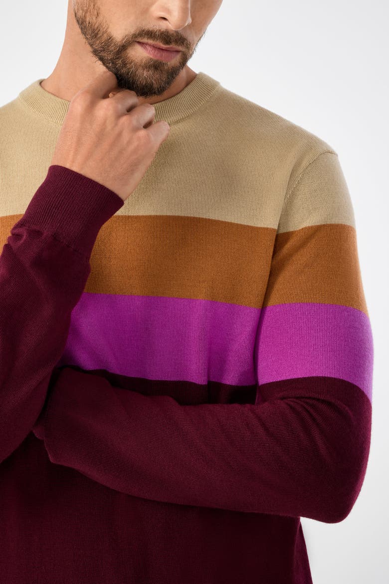 Romero Crewneck Sweater 100% Merino Wool Elderberry Slim Fit, Alternate, color, Elderberry Multi