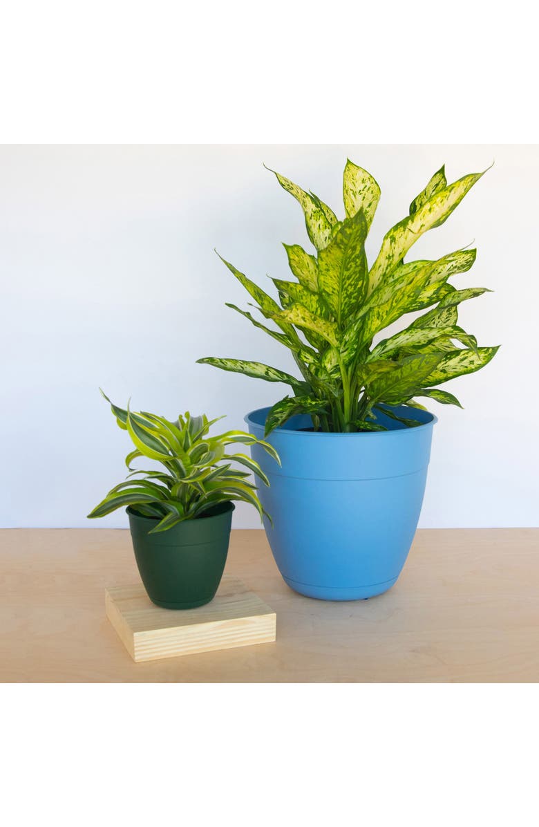 Bloem 12 Inch Dayton Planter With Saucer Tray, Ocean Blue, Alternate, color, Blue