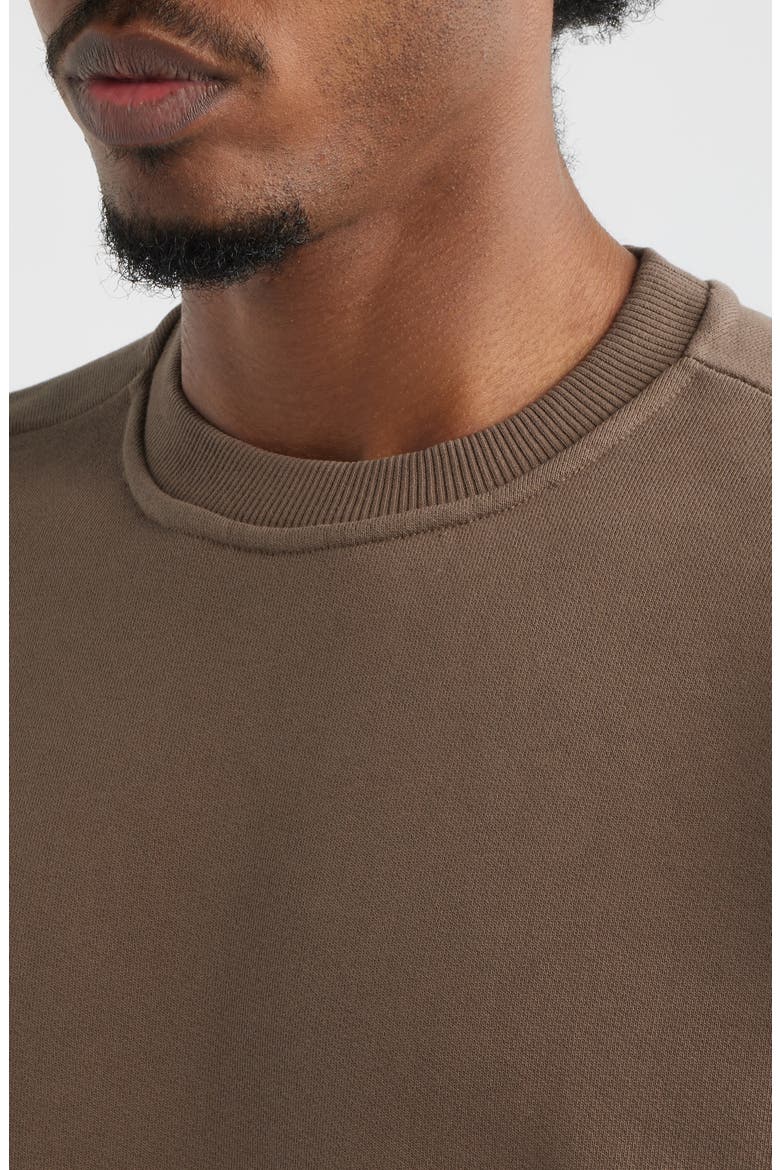 Core Oversize Crew Sweatshirt, Alternate, color, VINTAGE BROWN