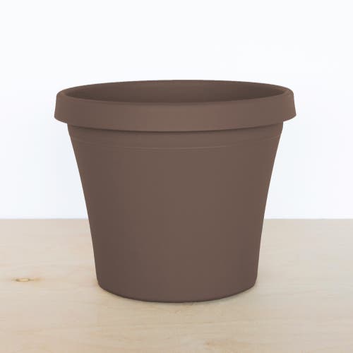 Bloem Terra Pot Planter, 13 Inch X 10.75 Inch, Chocolate Brown In Brown