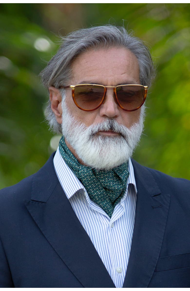 Elizabetta Condotti - Silk Ascot Cravat Tie for Men, Alternate, color, Green And Navy