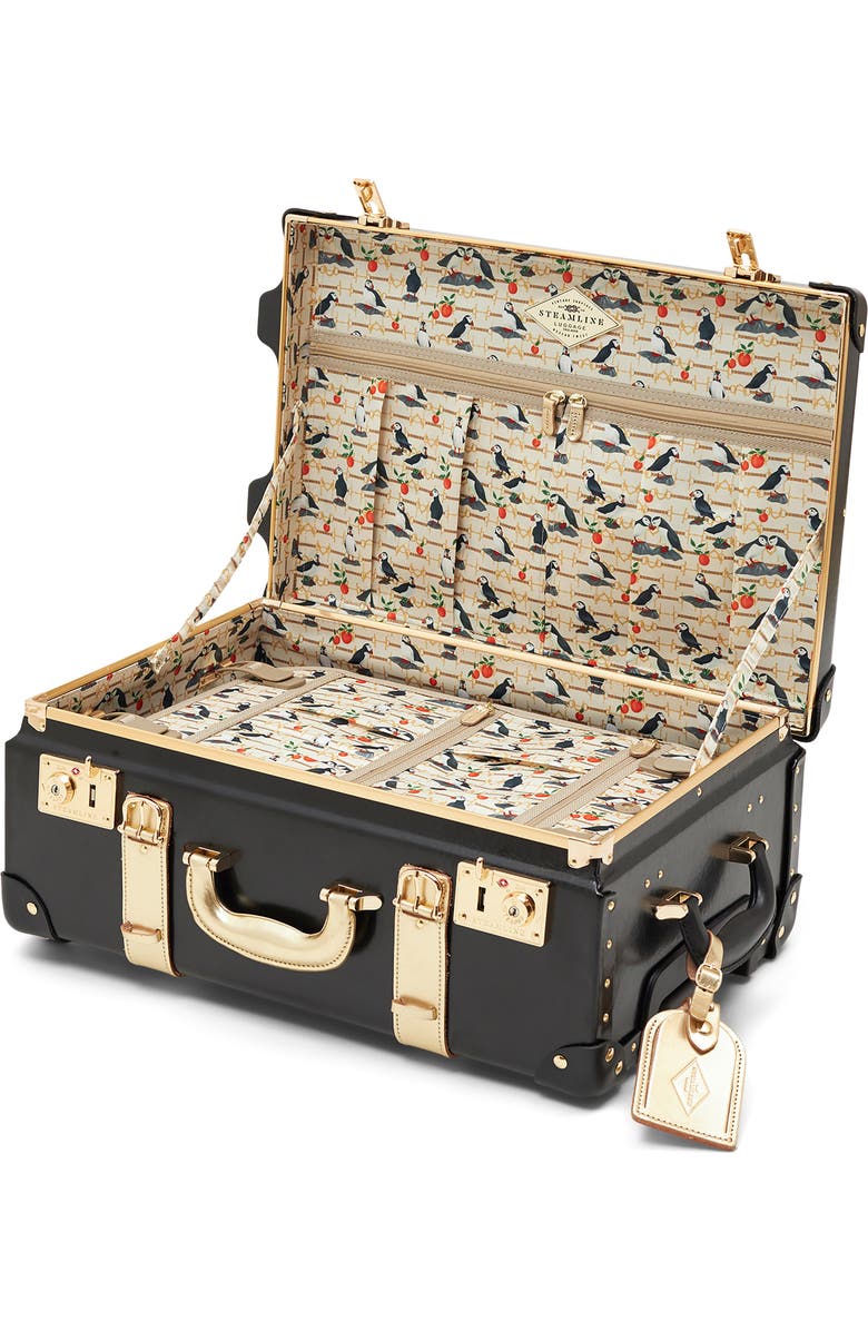 SteamLine Luggage The Soprano 20-Inch Rolling Carry-On, Alternate, color,