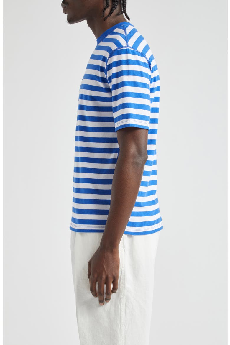 Stripe Cotton Hiking T-Shirt, Alternate, color, NAVY AND WHITE