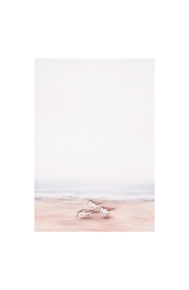 C&F Home Sandpiper Coastal Shores 100% Cotton Graphic Print Handtowel, Main, color, Brown