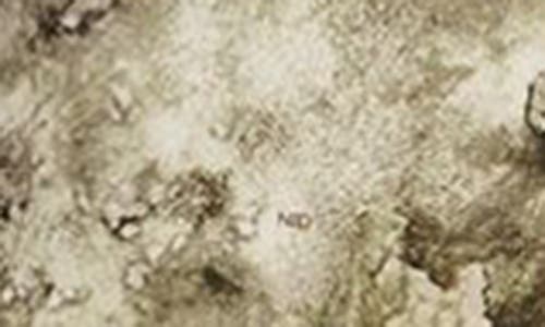 Jordan Men's  Brooklyn Woven Realtree Pants In Multi