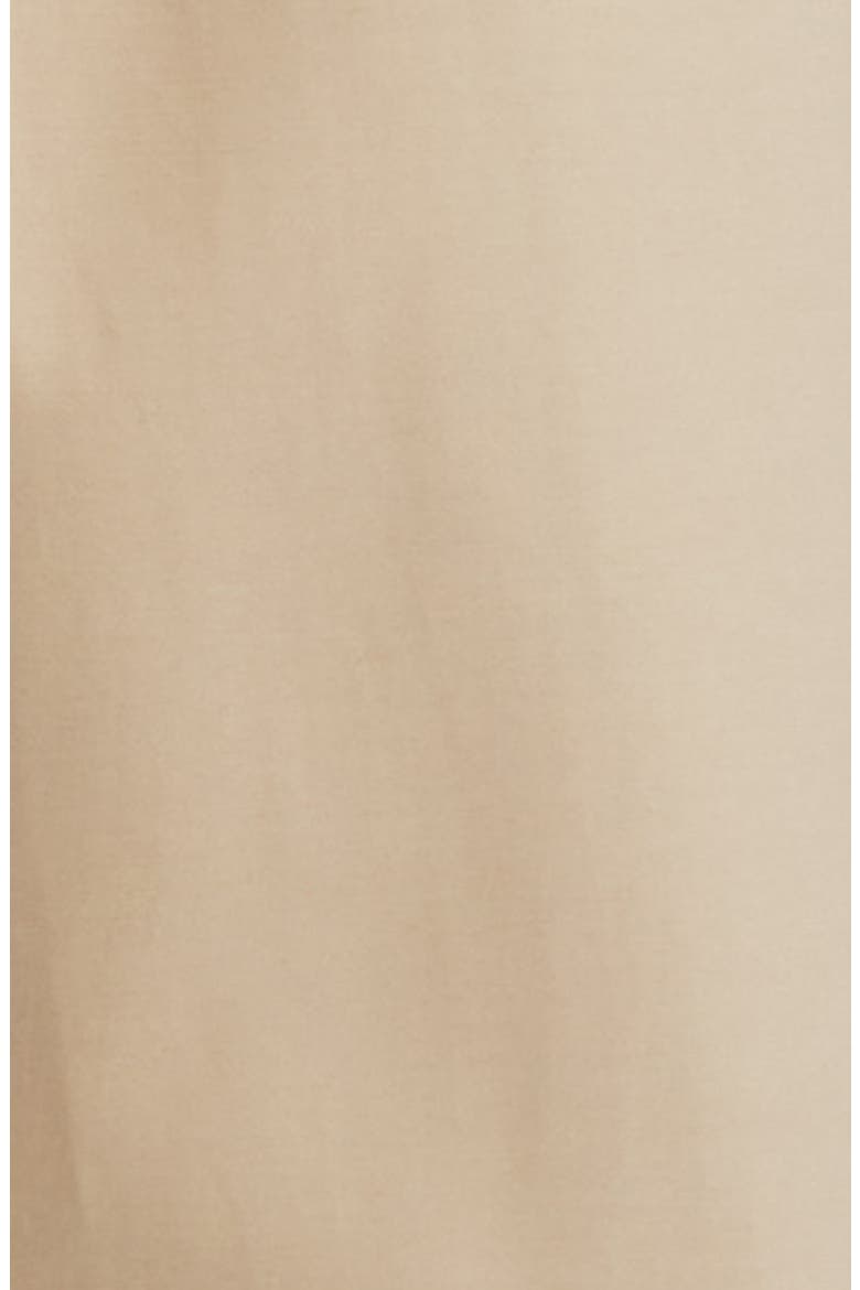 Water Resistant Belted Single Breasted Trench Coat, Alternate, color, BIRCH TAN