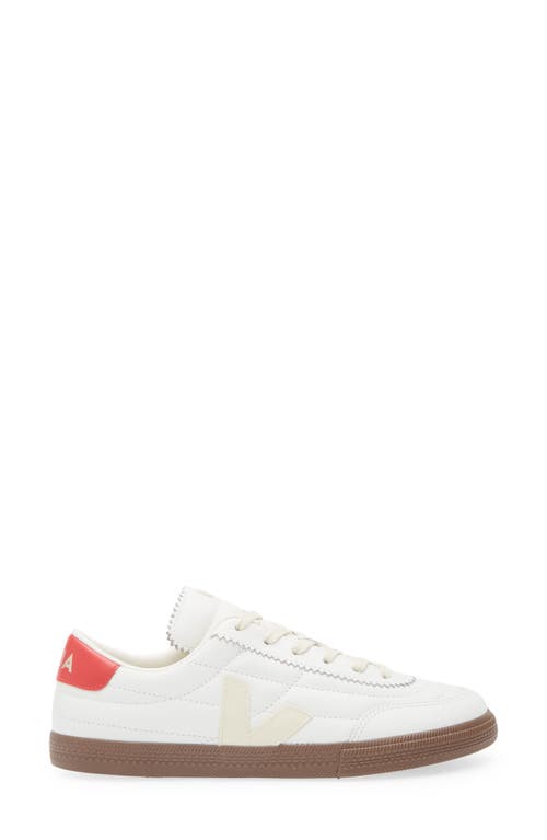 Shop Veja Panenka Sneaker In White Pierre