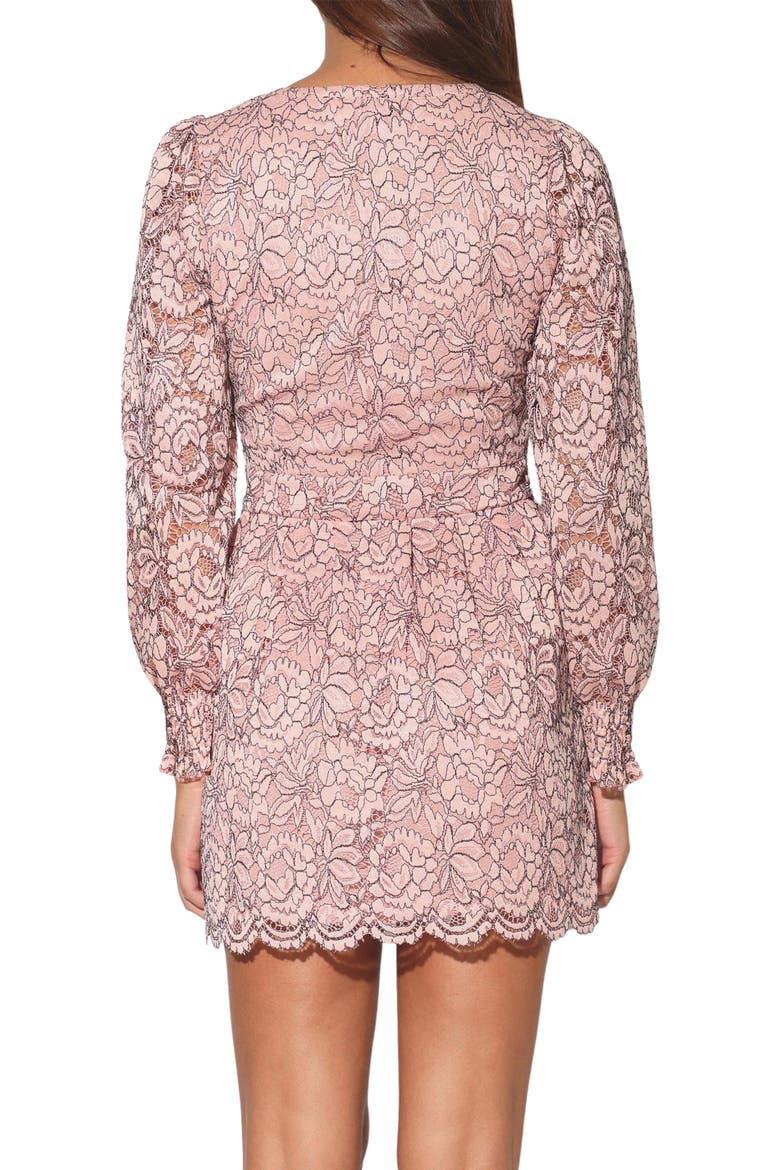 Adaline Floral Lace Long Sleeve Dress, Alternate, color, WINDSOR LACE BLUSH