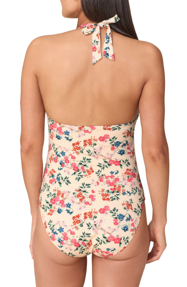 Andie The Majorca Halter One-Piece Swimsuit, Alternate, color, Riviera Floral