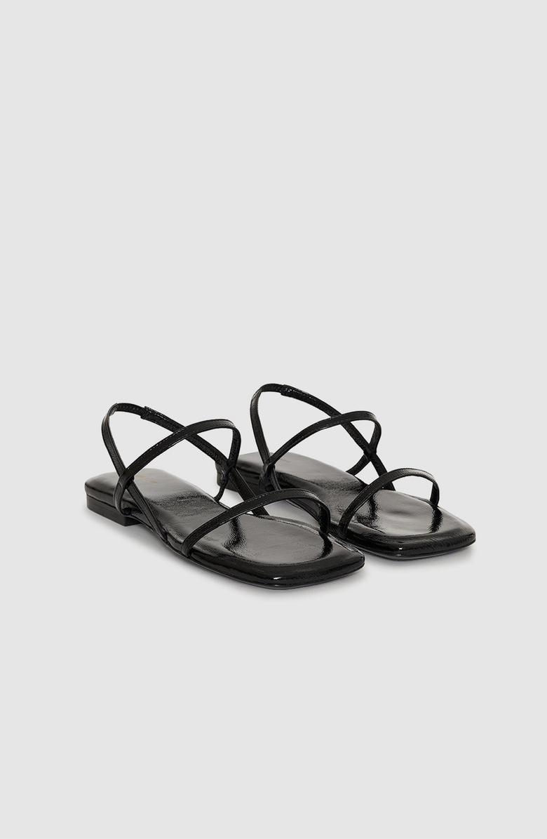ANINE BING Black Hilda Flat Sandals, Main, color,