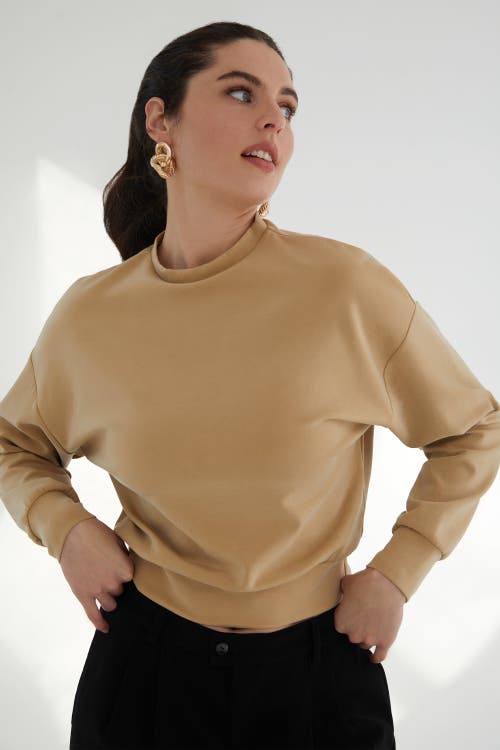 Kada The Cupro Power Pullover Sweatshirt In Brown