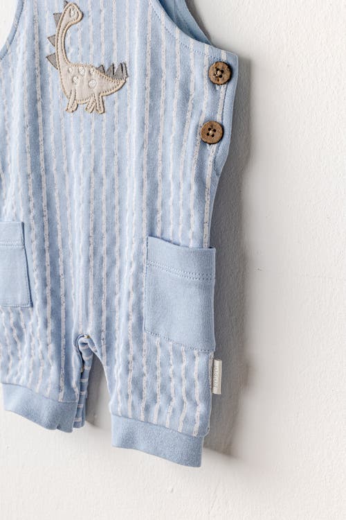 Andy Wawa Striped Dinosaur Jumpsuit In Blue