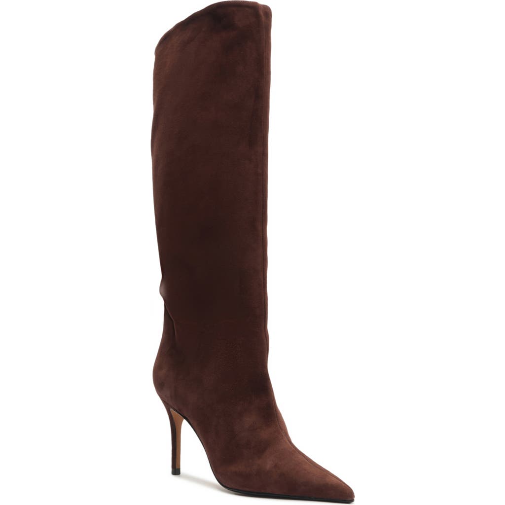 Schutz Ellen Up Pointed Toe Boot