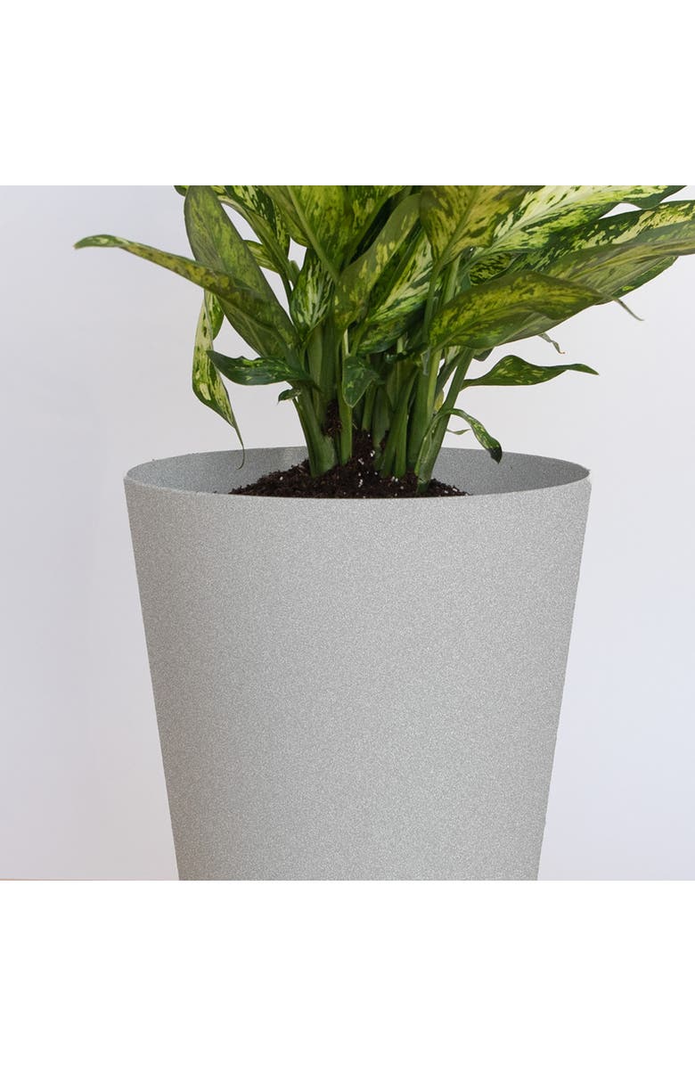 Bloem 14 Inch Tall Finley Tapered Round Planter, Cement, Alternate, color, Gray