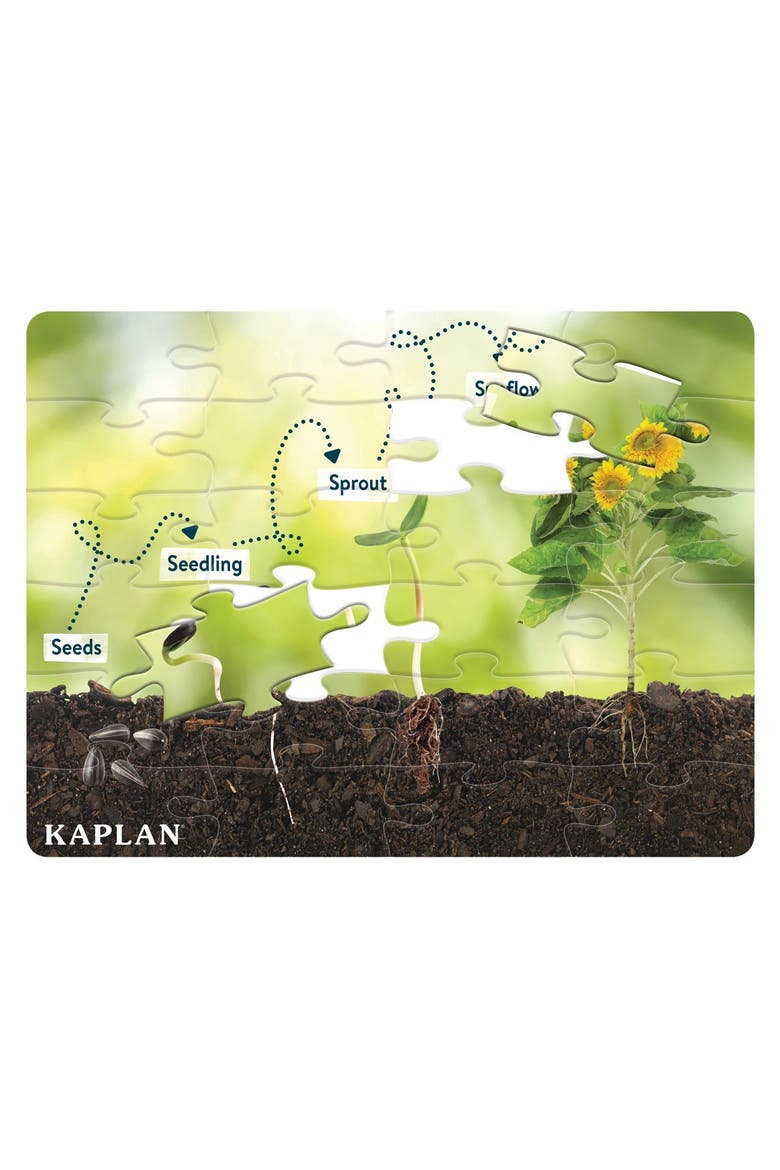 Realistic Animal and Plant Life Cycle Floor Puzzles - Set of 4, Alternate, color, Multicolored
