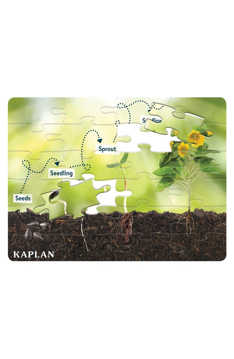 Kaplan Early Learning Company Sunflower Life Cycle Floor Puzzle from Seed to Sunflower - 24 Pieces, Alternate, color, Green
