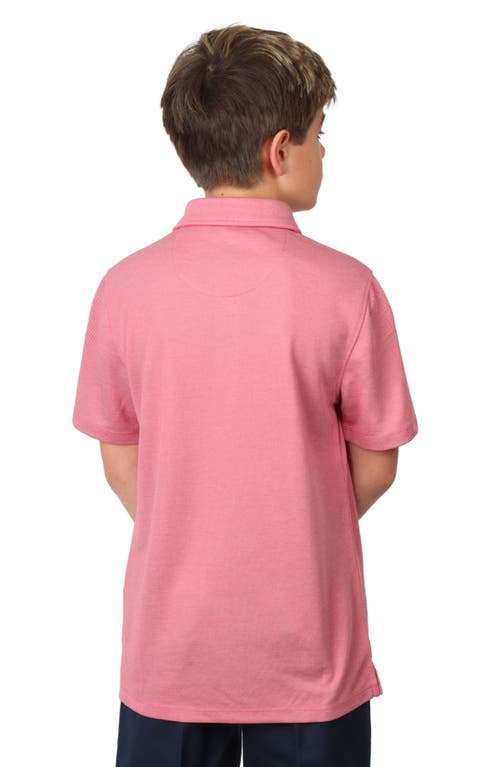 Tailorbyrd Kids' Solid Knit Polo In Pink