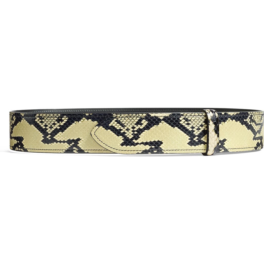 Khaite Theo Snakskin Embossed Leather Belt In Neutral