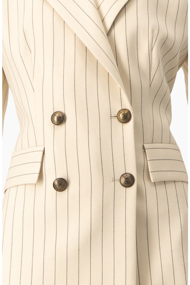 Pinstripe Double-Breasted Blazer, Alternate, color, Beige