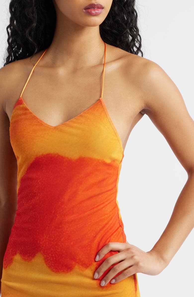 Feners Balita Mesh Maxi Dress, Alternate, color, Peach