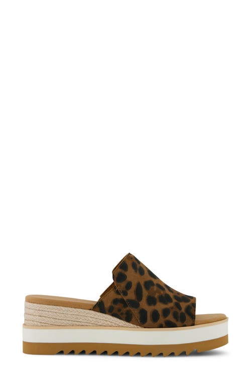 Toms Diana Mule Sandal In Brown