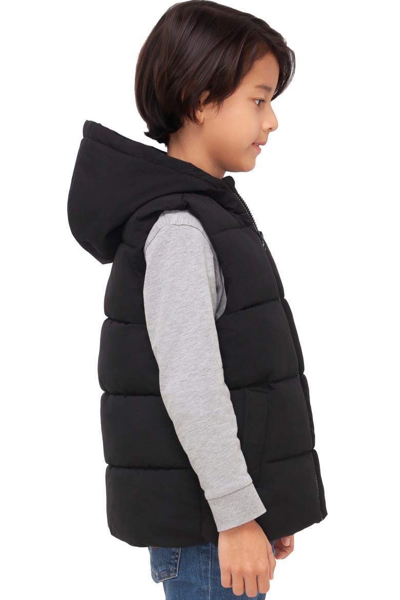 Kids' Everett Hooded Puffer Vest, Alternate, color, Black