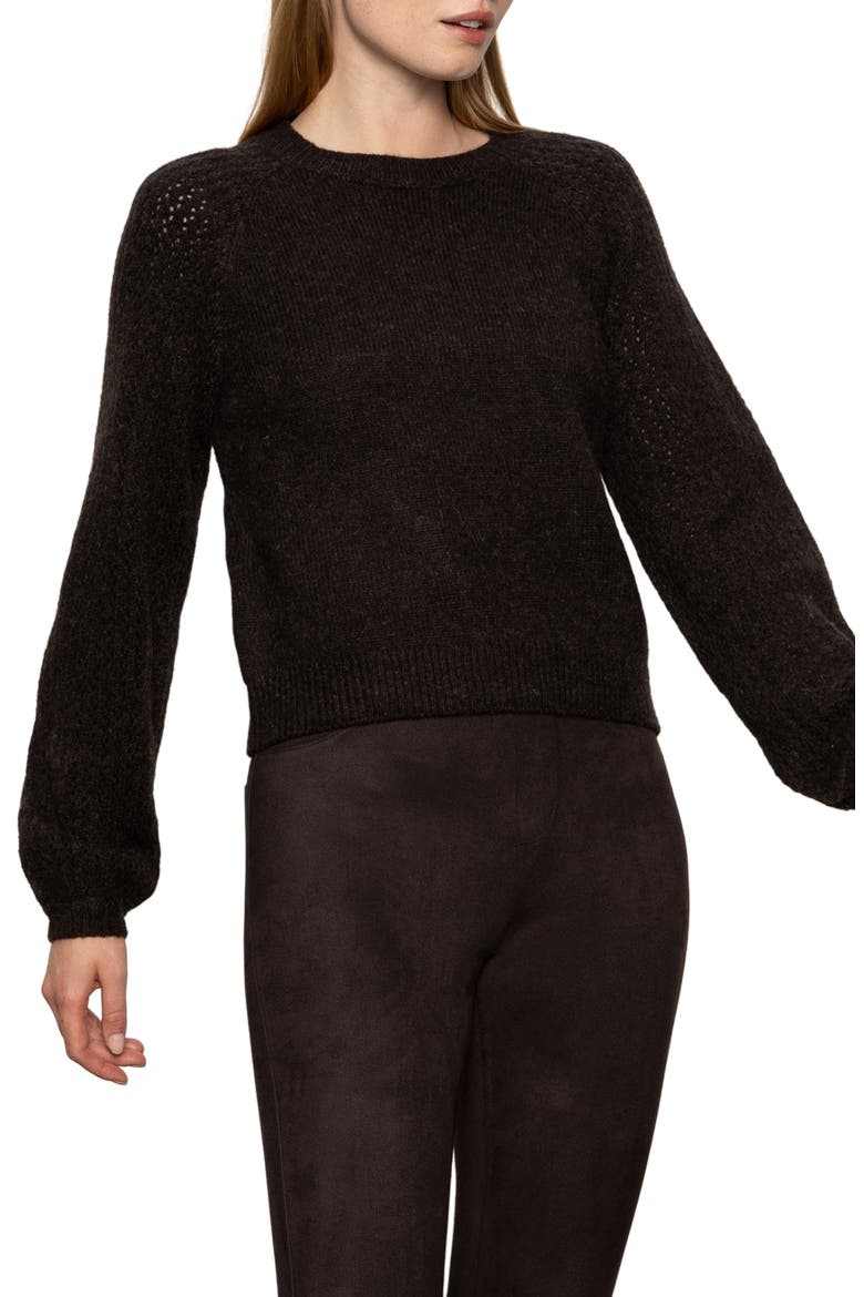 Cozy Moment Pointelle Sleeve Detail Sweater, Alternate, color, SEMI SWEET