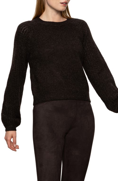 Sanctuary Cozy Moment Pointelle Sleeve Detail Sweater In Multi
