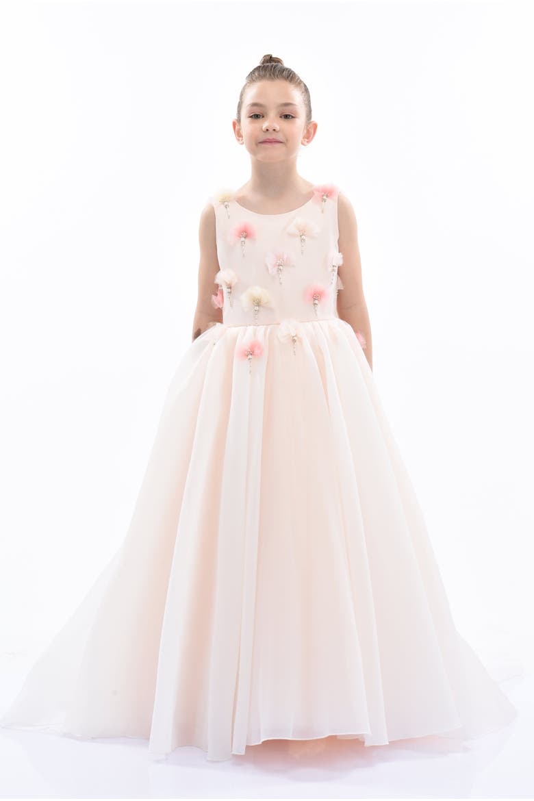 Magnolia Princess Gown, Alternate, color, Pink