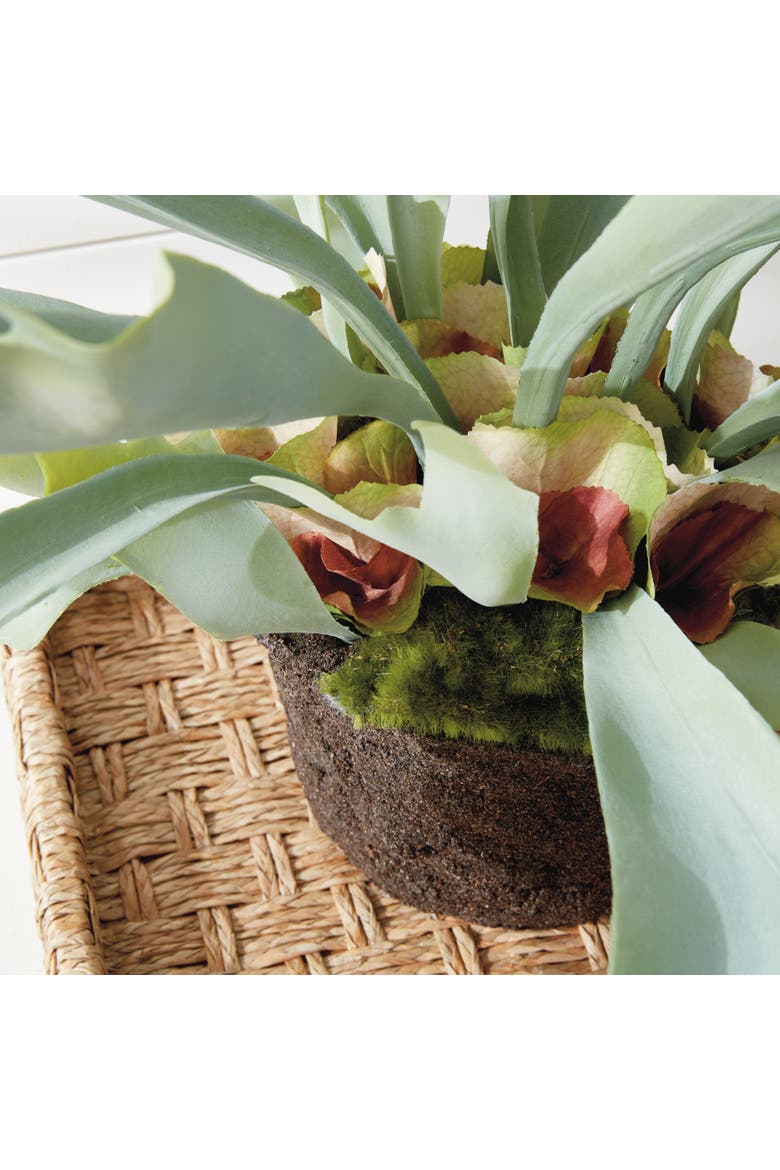 Staghorn Fern Drop-In 21", Alternate, color, Green