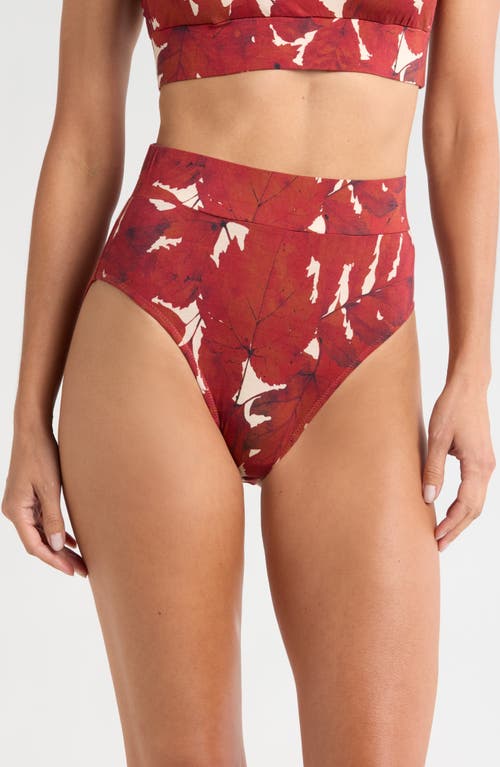 KILO BRAVA Lounge High Cut Briefs in Fallen Leaves 