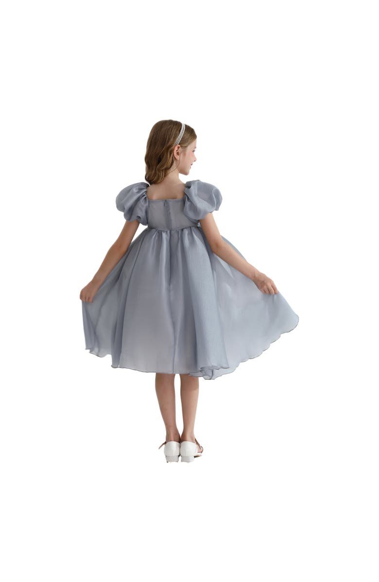 Tulleen Janelle Dress, Alternate, color, Grey