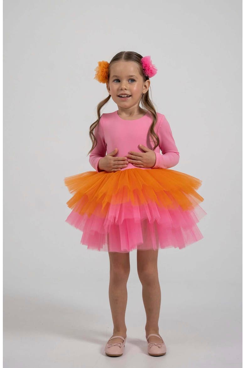 Rainbow Long Sleeve Fluffy Tutu Dress, Alternate, color, Pink Rainbow