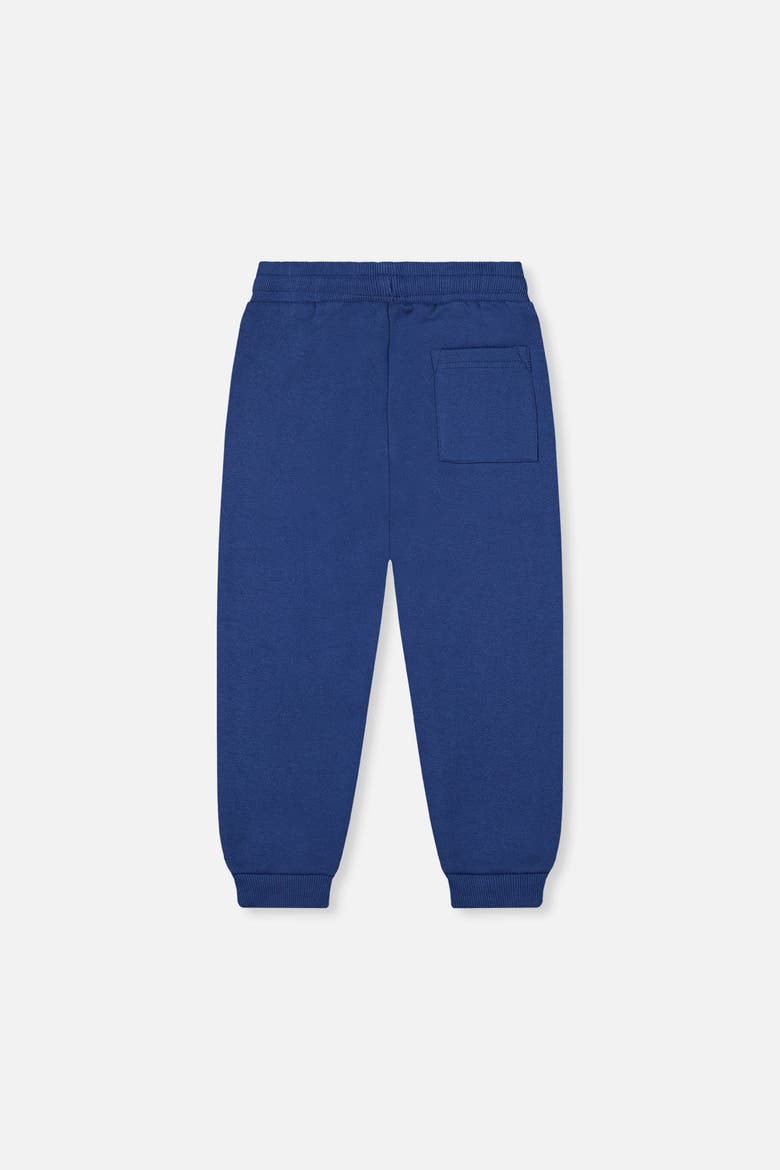 Fleece Drawstring Waist Ribbed Cuff Sweatpants, Alternate, color, Blue