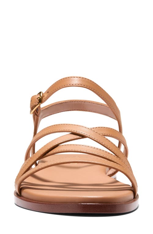 Cole Haan Flynn Strappy Sandal In Biscuit Leather