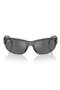 selected Transparent Grey / Grey Silver
