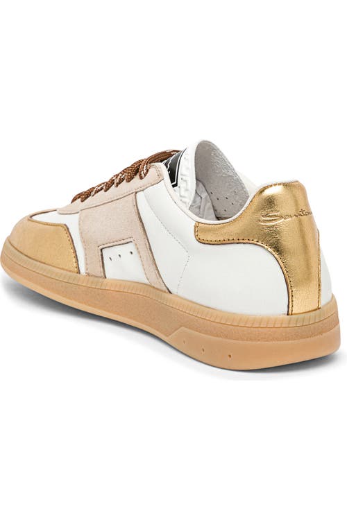 Santoni Leather And Suede Dbs Oly Sneaker In Multi