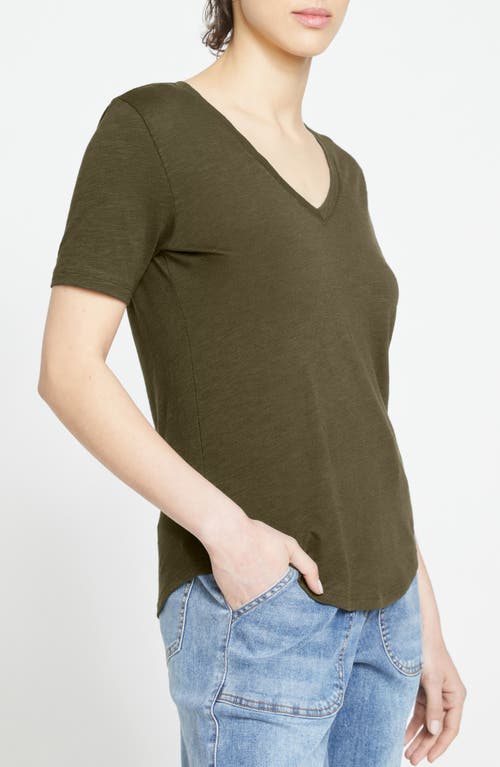Universal Standard Light As Air V-rex T-shirt In Nori