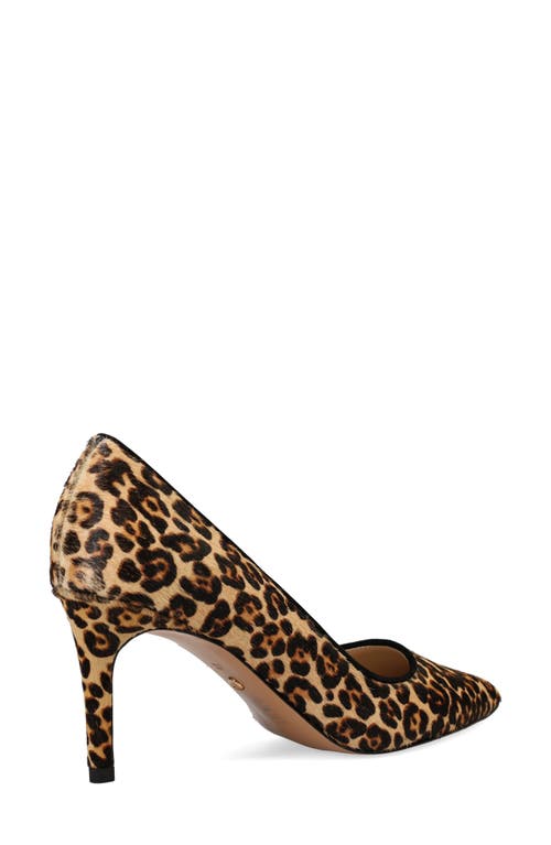 Pelle Moda Lizel 2 Pointed Toe Pump In Black