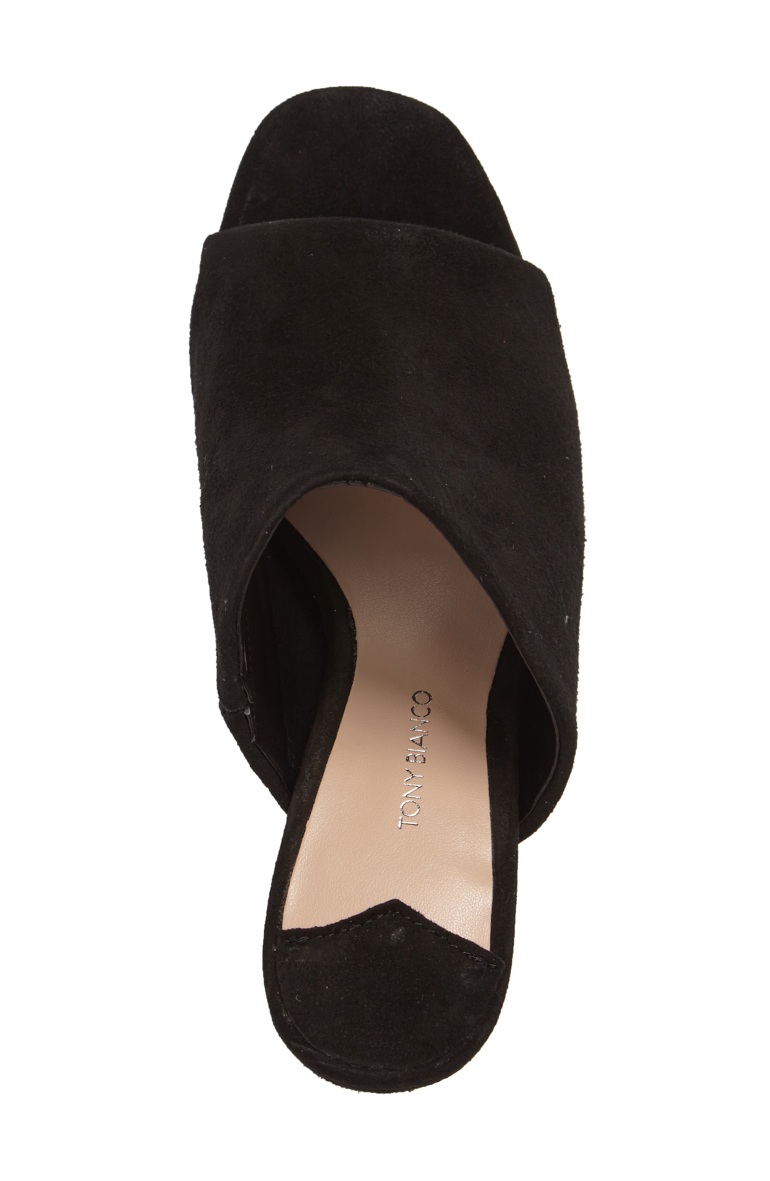 Tony Bianco Carabou Open Toe Mule, Alternate, color, 