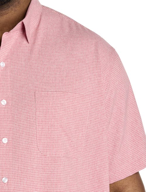 Harbor Bay By Dxl Big & Tall Microfiber Small Plaid Sport Shirt In Pink