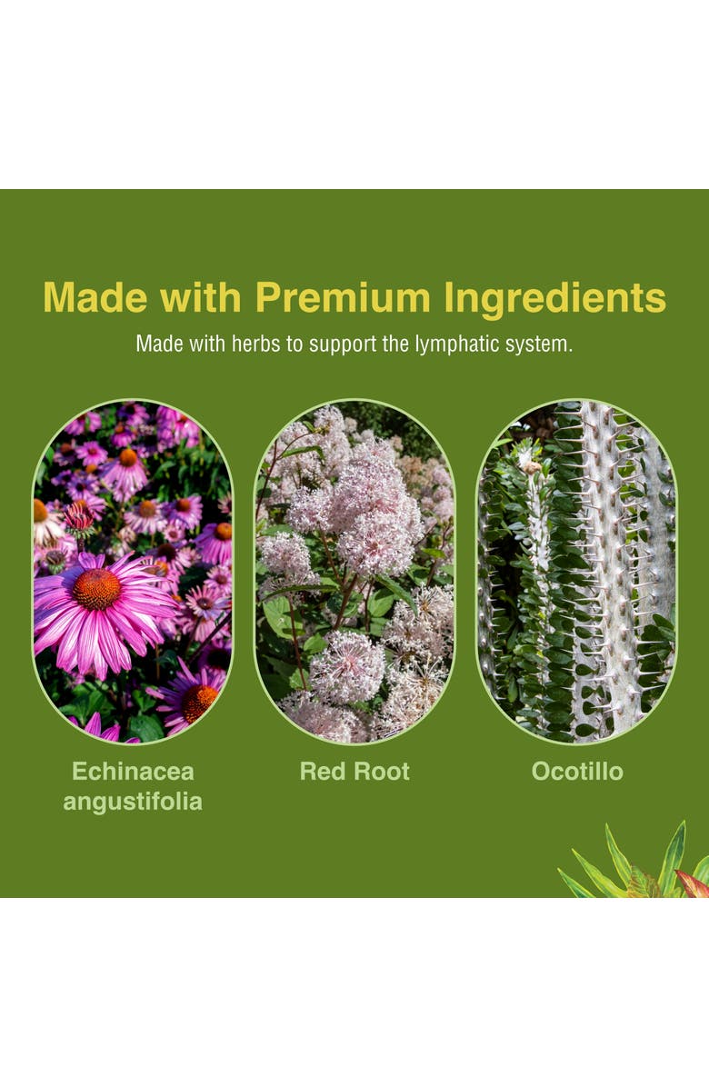 Herbs Etc. Lymphatonic Lymph System Support Softgels, 60 Count, Alternate, color, 