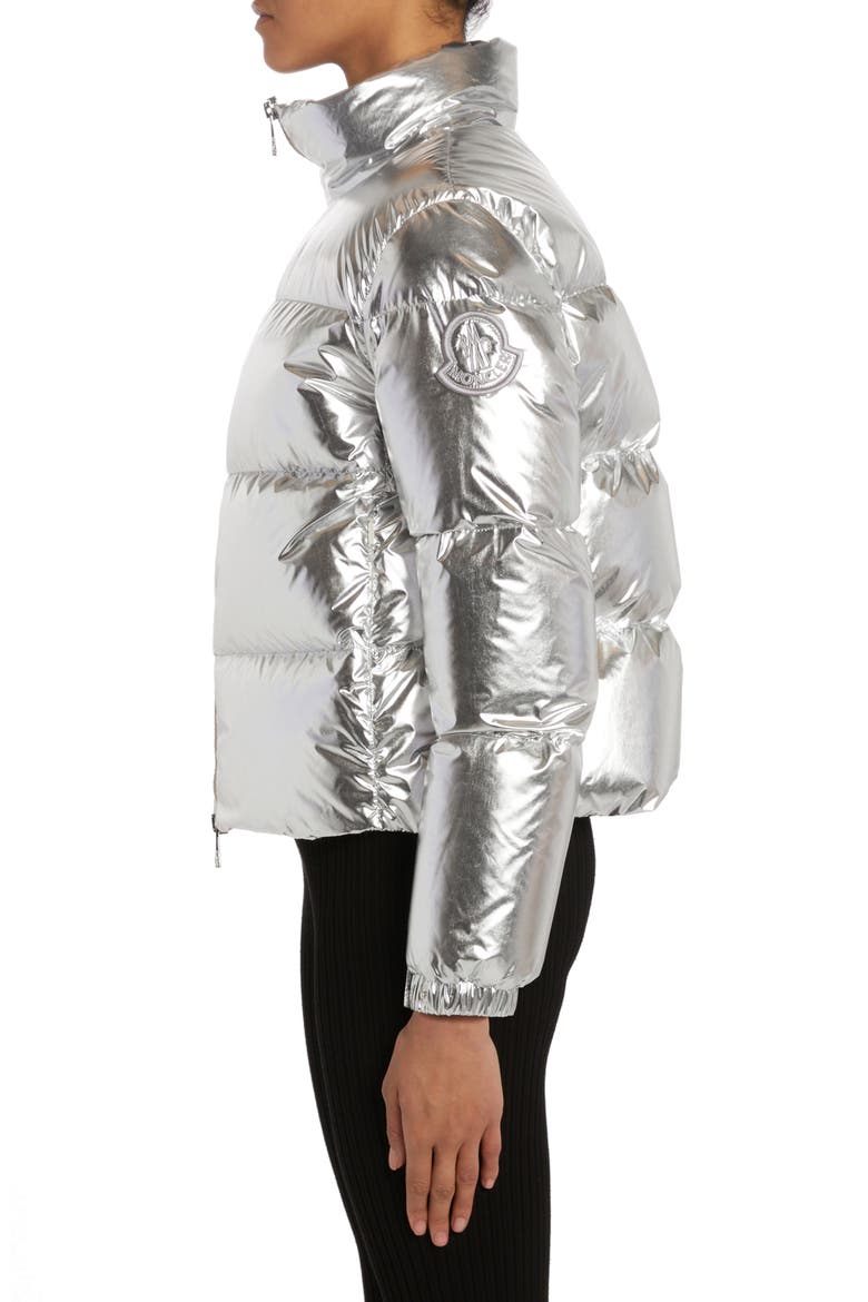 Meuse Laminated Nylon Down Jacket, Alternate, color, SILVER