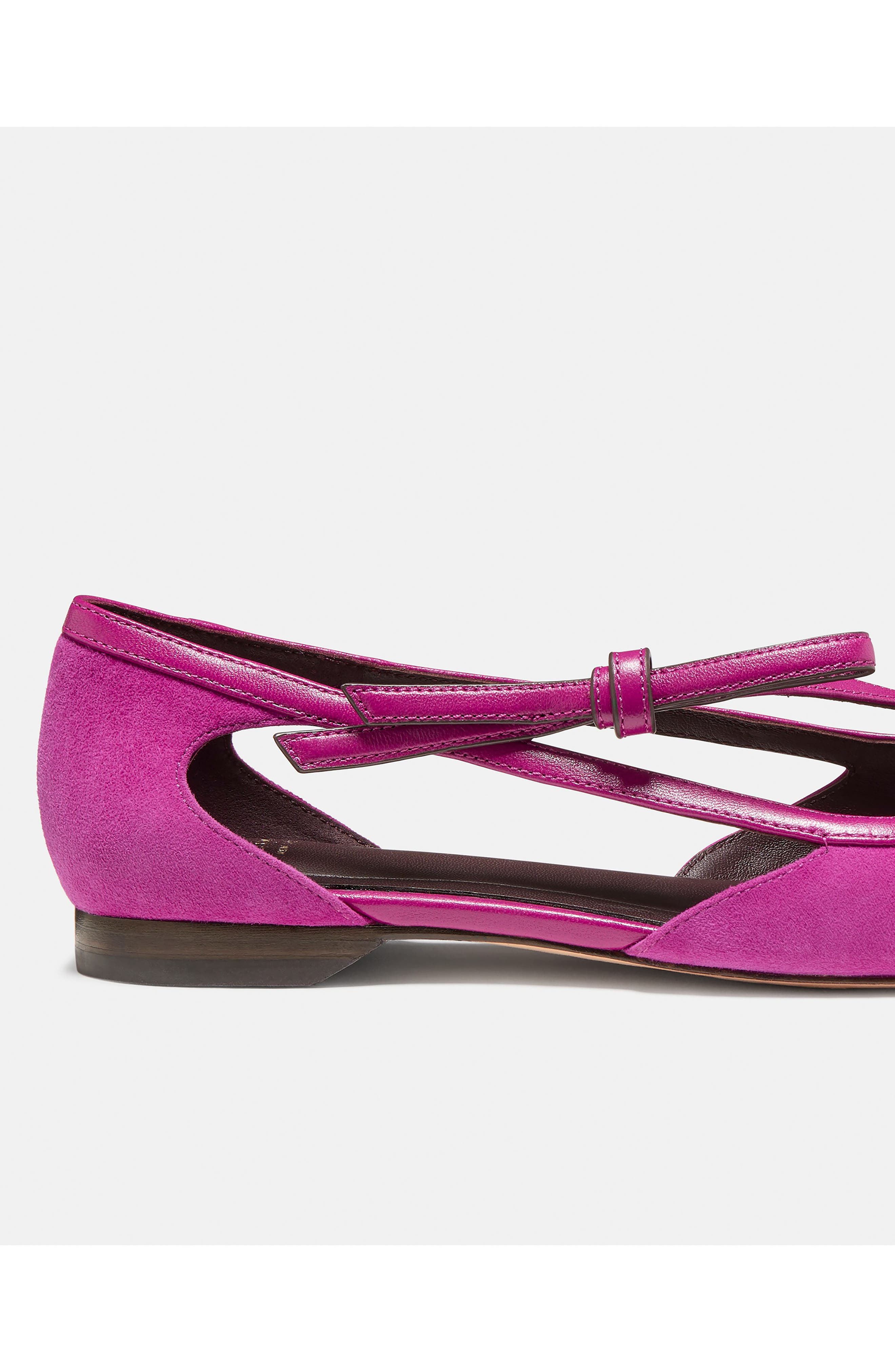Loop Pointed Toe Flat, Alternate, color, BEET