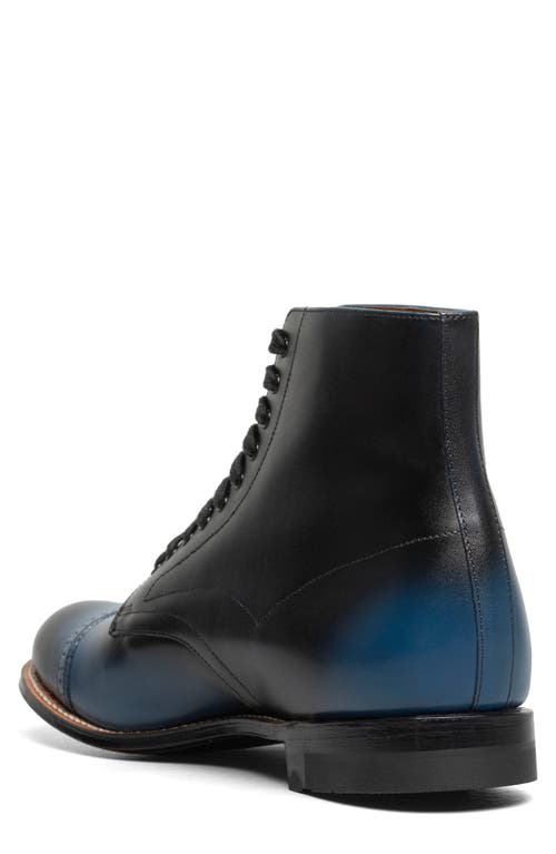 Stacy Adams Madison Cap Toe Lace Up Boot In Blue
