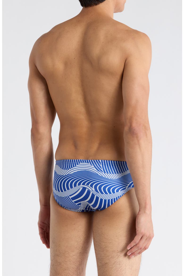 Print Swim Briefs, Alternate, color, PURPLE
