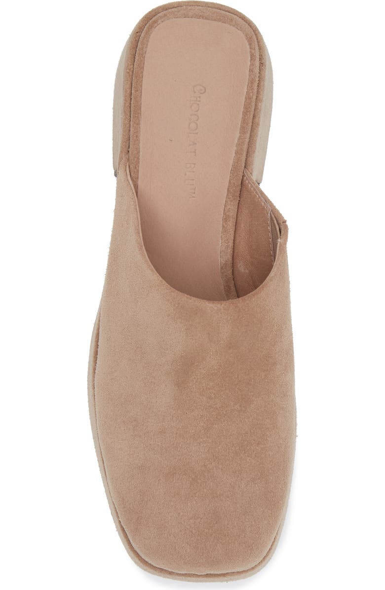 Chocolat Blu Hedia Platform Mule, Alternate, color, Latte Suede