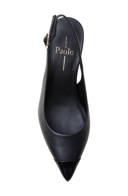 Linea Paolo Niyka Pointed Toe Slingback Pump In Black